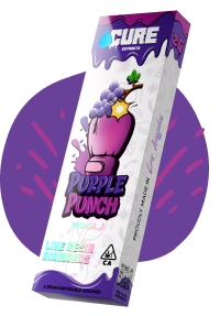 PURPLE PUNCH